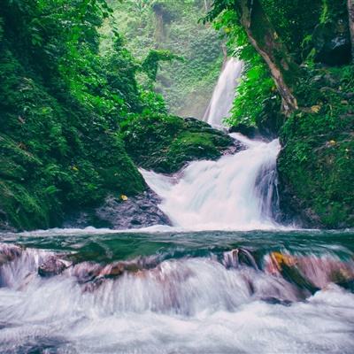 国际海运船舶