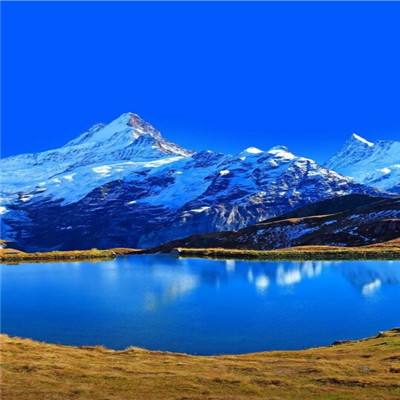WWW,5911M,COM-5911Q,COM