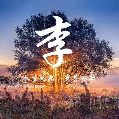 JJ比赛赛事