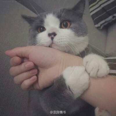 BG平台下载平台