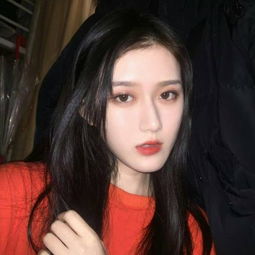 新新电影网理论