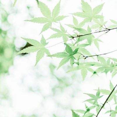 江南jnsport体育下载