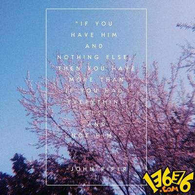 飞禽走兽·银鲨2
