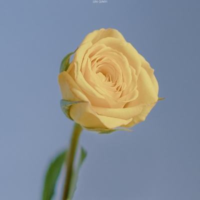 bet体育开户