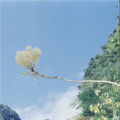 申博体育电子