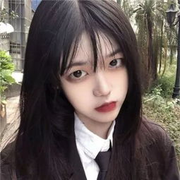 盈彩网投资平台