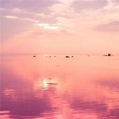 八仙过海391155COM