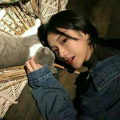 新2彩票网址大全