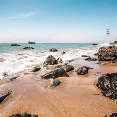 大神捕鱼游戏视频