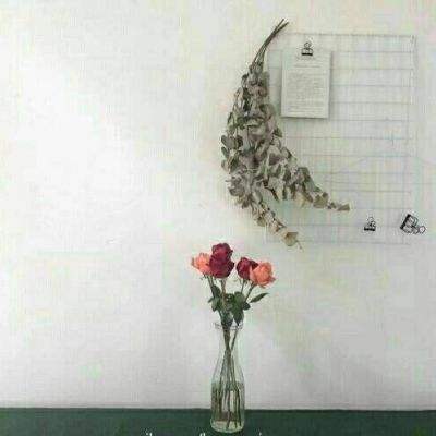 蔡风姣