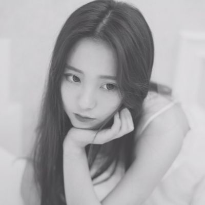 鸿博体育官网