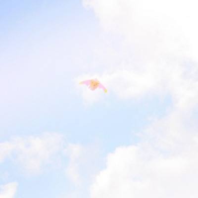 澳彩资料885122COM