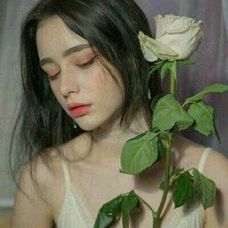 公海渡船苹果版下载