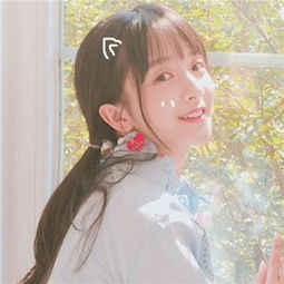玩彩网官网截图