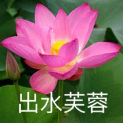 miletiyu截图