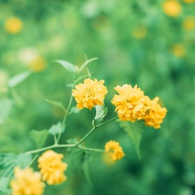 藏宝阁彩票交流平台
