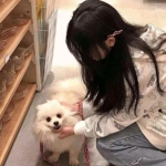 okpay官网登录