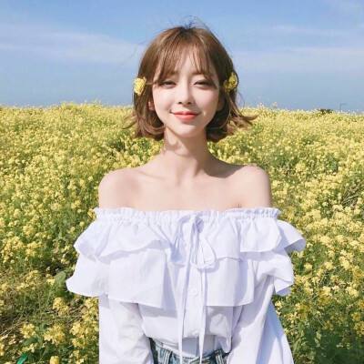 澳洲的数据分析网